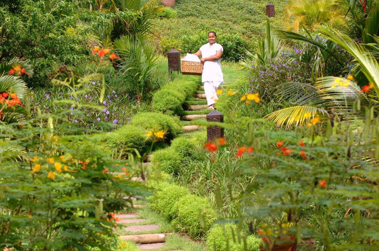 Lakaz Chamarel Exclusive Lodge Ngoại thất bức ảnh